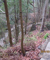 这次去了台州各地最高峰中唯一没去的大雷山