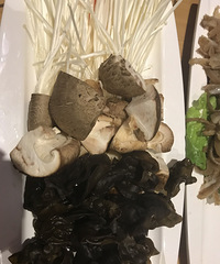 288�ײ� �˾�72 ���⻹��ͦ�ʵ�