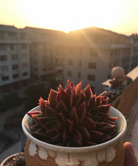 ���һ���