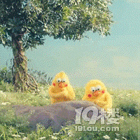 "台州百佳东方缴费【四维彩超+大月份筛查】组合套餐立减100元"