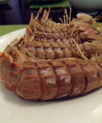 ƤƤϺ���ҷ� �ɵ�����20ֻ