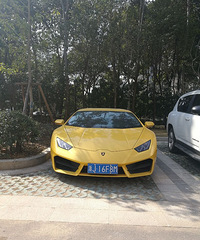 �����ĺ���������ͣ���������