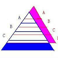 91������Ƥ���׾�����ҵ���ƣ����Ʊ�ҵ