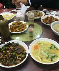 最经济实惠的临海之行 主要为了红树林