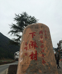 最经济实惠的临海之行 主要为了红树林