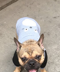 #Ѱ������#Ѱ���� ����л