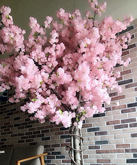 һ����ӣ������˾��