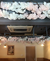 һ����ӣ������˾�� �˾�50����