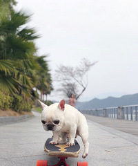 �Ҹ������Լ�����ô����ô��