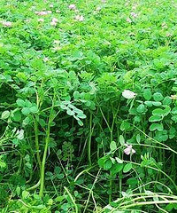 ���ݳ��˳��⻹����ô����