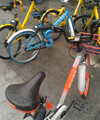 ���۸��᡿����������ɫ�Ŀ�ÿ���