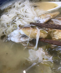 Ҳ�����ԭ�� ���ž����̲��� ϣ������