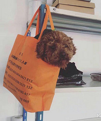 92��GG175��ϲ������Ҹ���ů����