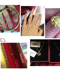 ���й��ƽ����/������/����/��������/���ָ