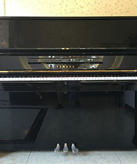 �ձ�ԭװ�߶�YAMAHA���٣������ƹ⡢��ɫ����