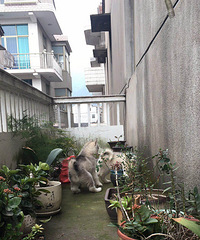 �̻�ɫ��ʿ������ ϲ�������Ҽ۸�����