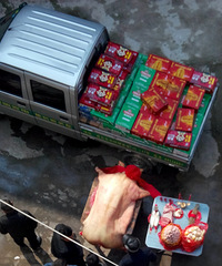 �ҵ�Ե�����ˡ�2018ϲ���Ž���ռǡ�