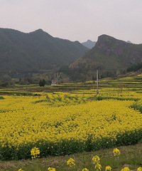 ��������µĽ�ɫ���� ��ʮһ���Ͳ˻���