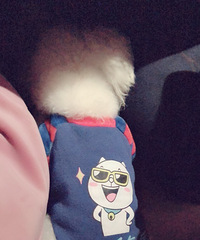 ���
