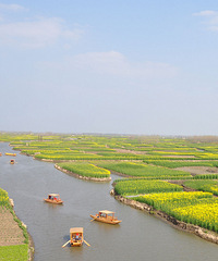 85�걾����������165����н10-15��