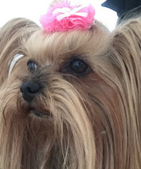 ���۸��᡿������᲻�������