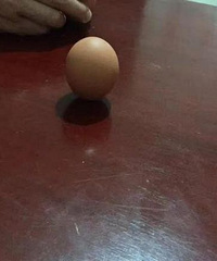 ���۸��᡿���촺�֣�����������