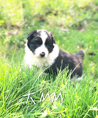 ����������һ�Ĺ�����������С�����ۣ�