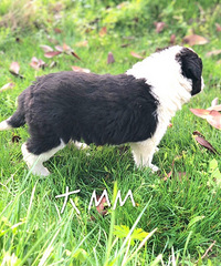 ����������һ�Ĺ�����������С�����ۣ�