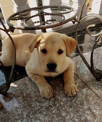 ����3������������