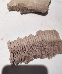 ����������� �ڶ��쳴�ཷ�Ȼع��⻹�ó�