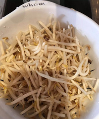 �������趹ѿ ����