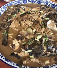 �Ƽ�һ�ҳ�̶�ߵ�ũ���� ������ �ϲ��ٶȿ�