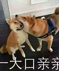 88�꽷���������ӣ�������ҵ������������