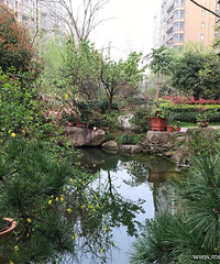 ������ɫ ������������