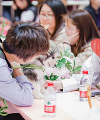 【3月25日活动回顾】春暖花开,一起牵手谈个恋爱