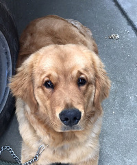 ����������û��һ���޹���