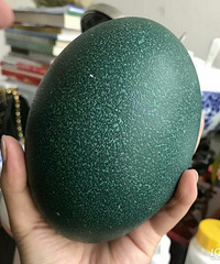 ���۸��᡿����ʲô������������ʶ��