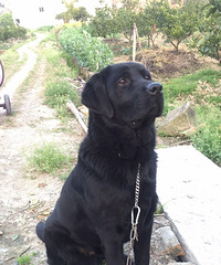 ��������������