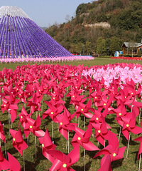 19¥��Ʒ���׻ᣡ422Լ��ȥ����ׯ԰̤��