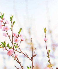 19¥��Ʒ���׻ᣡ422Լ��ȥ����ׯ԰̤��