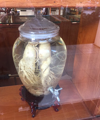 ���۸��᡿�ܲ������˲�