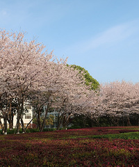 ̽��̨�������������ˡ��𻪡���ˮ�����ݱ߽���Ŀ����籮