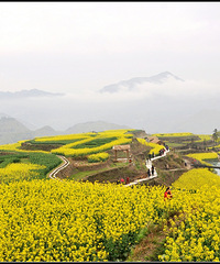诗画小舟山