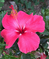 ���ӽ����â����ѿ