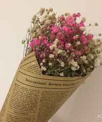 ���۸��᡿������ǻ�����/�������ɹ�����ɣ������ǻ��������