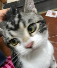 ���̼Ӱ���Ů���ѣ�