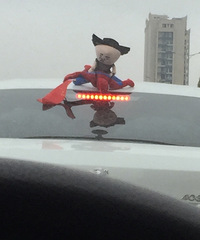 �òҵ�֩����