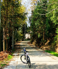 愚人节的石施坑岭古道