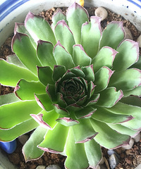 ˵�ò����ˣ����������