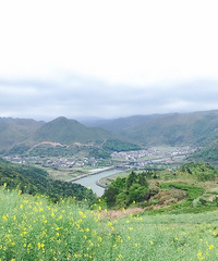 抓住四月 抓住春